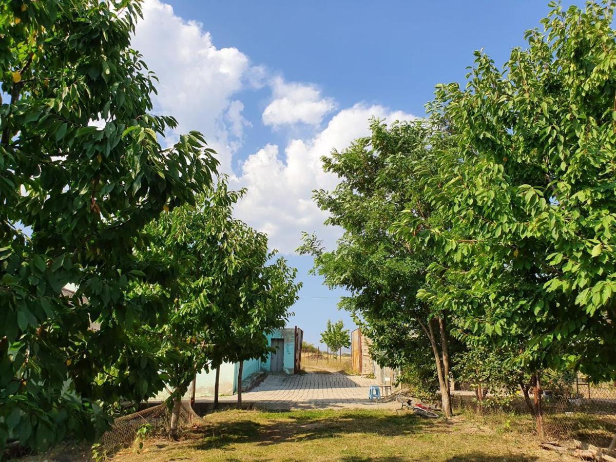 La Casa De Habel Villa Куба Екстериор снимка