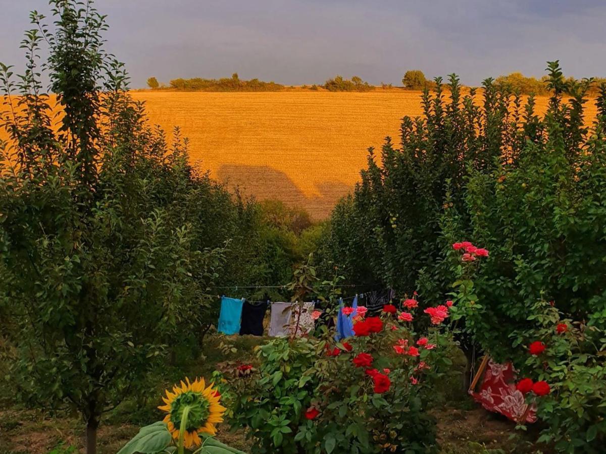 La Casa De Habel Villa Куба Екстериор снимка
